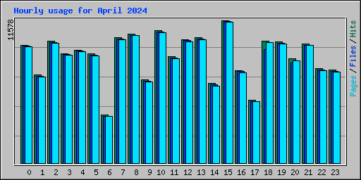 Hourly usage for April 2024