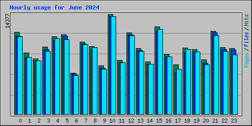 Hourly usage for June 2024