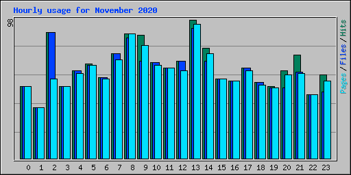 Hourly usage for November 2020