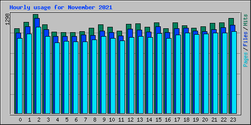 Hourly usage for November 2021