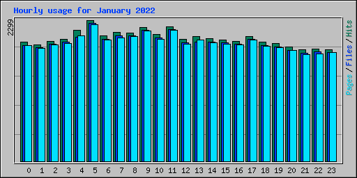Hourly usage for January 2022