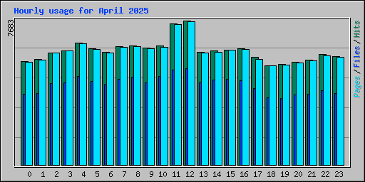 Hourly usage for April 2025