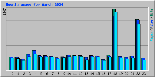 Hourly usage for March 2024